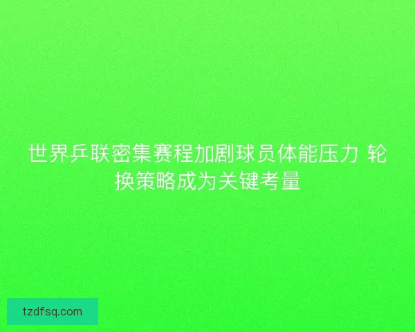 世界乒联密集赛程加剧球员体能压力 轮换策略成为关键考量